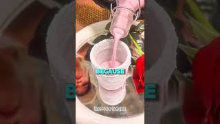 Why This Restaurant Freezes a Real Rose for Your Drink #short Why This Restaurant Freezes a Real Rose for Your Drink #short