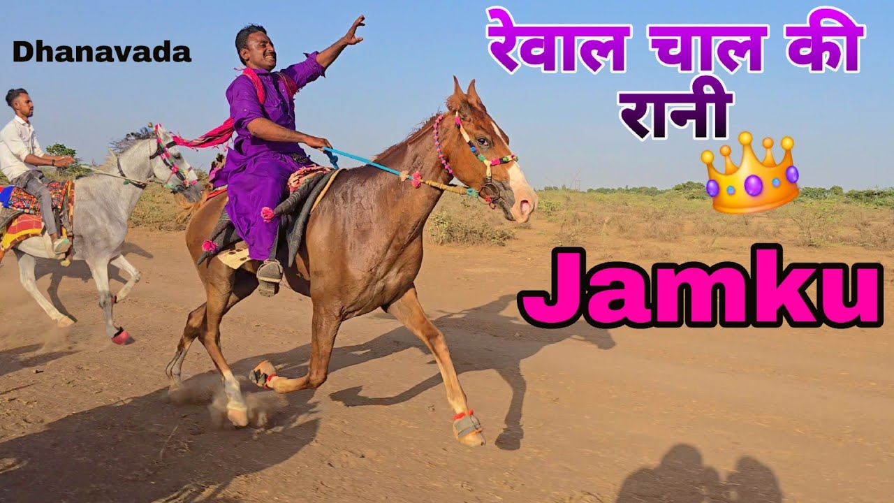 Королева Ревала Чал 👑 Джамку 👑 | Big Rewal Chal Racing в Дханваде, Абдасе, Катче, 2025 г.