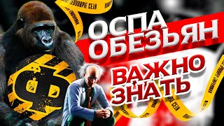 ОСПА ОБЕЗЬЯН: ПИКАНТНЫЕ ПОДРОБНОСТИ О НОВОМ ВИРУСЕ