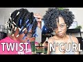 FIRST Twist N Curl  | REVISITING The Mane Choice Do it Fro The Culture Stylers