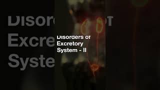 Disorders of Excretory System - Part 2 - Short Bites #74