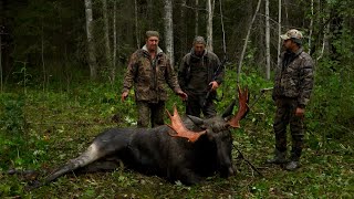 За кабаном и лосем. Охота на Русском Севере.