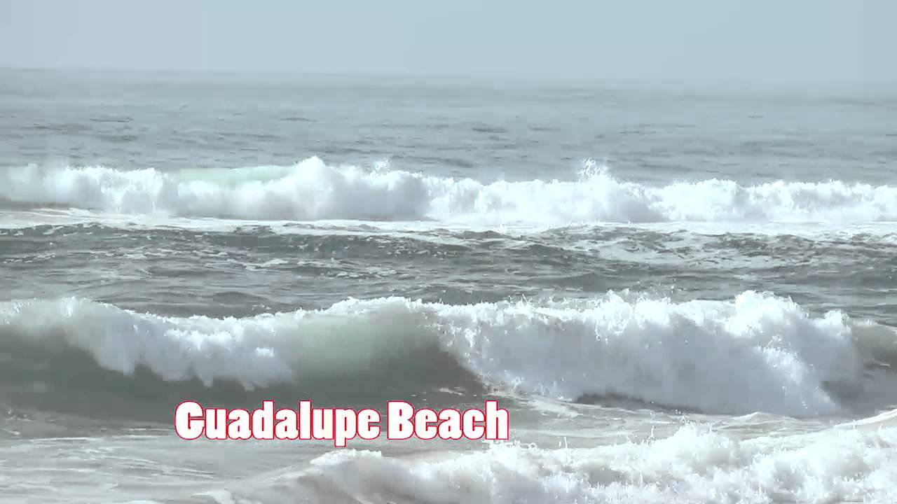 GUADALUPE BEACH YouTube