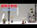 蝦夷小鉢会が2026春の展示会を開催