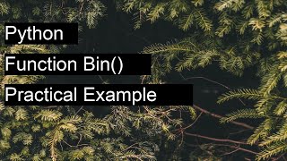 How to use function bin() in Python? - with practical example