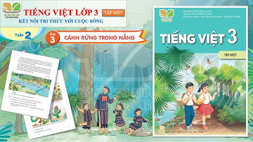 Tiếng Việt Lớp 3 - Tập 1 | Kết Nối Tri Thức Với Cuộc Sống | Bài 3: Cánh Rừng Trong Nắng |Tiết 1| Đọc