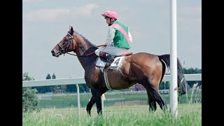 1985 Prix de l'Arc de Triomphe (Rainbow Quest)