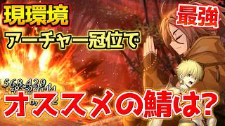 【FGO】現環境 冠位戴冠戦アーチャーで最強＋サポート おすすめのサーヴァントは？【冠位戴冠戦アーチャー】