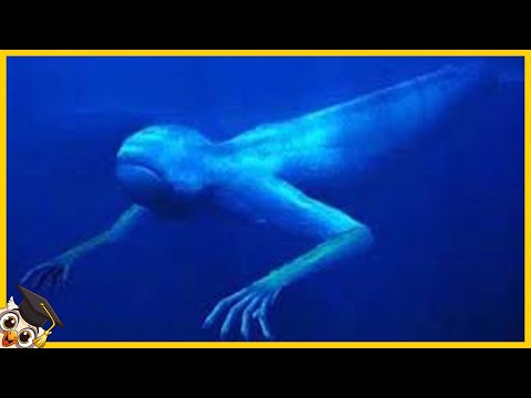 Video: Wat Voor Soort Monsters Leven Er Op De Bodem Van De Oceaan? - Alternatieve Mening