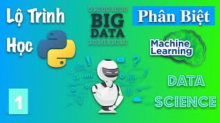 Lộ Trình Tự Học Lập Trình PYTHON Cho Người Mới Bắt Đầu