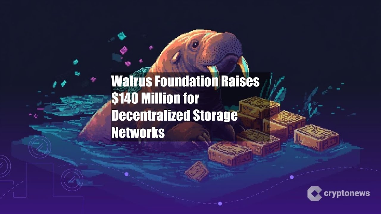 Walrus Foundation Raises $140 Million for Decentralized Storage - YouTube