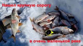 видео: Весна пришла, и рыба рада, сорога долбит прям с утра.  Часть 1.  Зимняя рыбалка 2025. картинка: Весна пришла, и рыба рада, сорога долбит прям с утра.  Часть 1.  Зимняя рыбалка 2025.
