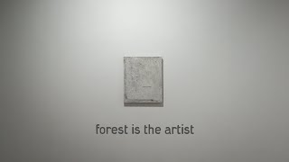 Forest is the Artist: The Art Exhibition by a Korean Forest