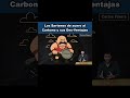 Desventajas de los sártenes de acero al carbón