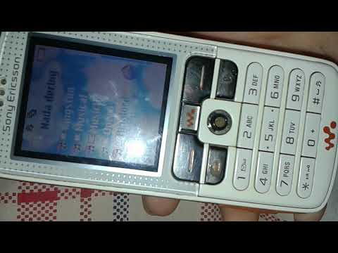 Sony ericsson W800i ringtones,games,camera and all in video