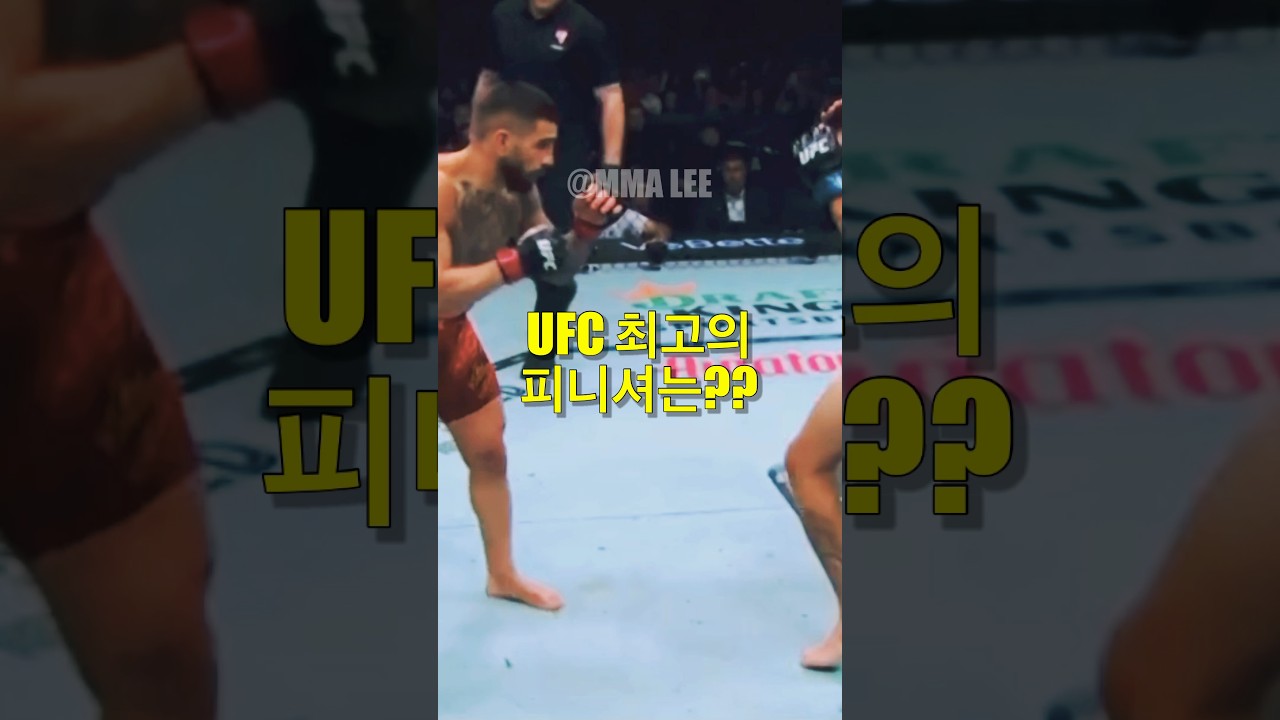 UFC 최고의 피니셔는?