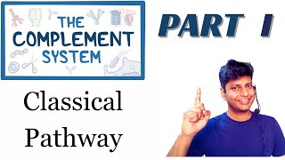 Classical Complement Pathway -  Part-I