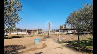 FINCA RUSTICA CON CASA TERRERA EN PALS