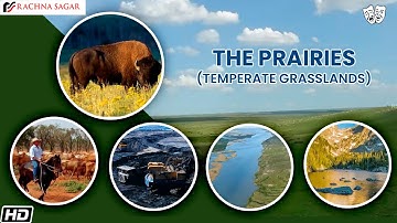 The Prairies Temperate Grasslands | Be an Explorer class 5 | Rachna Sagar