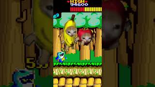 Wonder Boy Final Stage Banana Cat