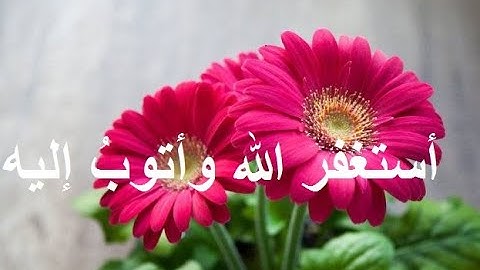الشيخ صلاح الهاشم  \\ سورة البقرة كاملة