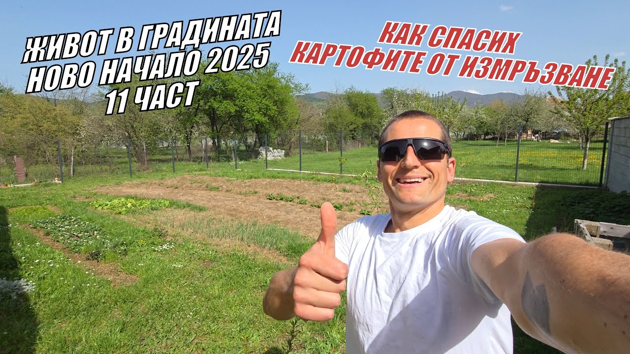 ЖИВОТ В ГРАДИНАТА 11 ЧАСТ - Как спасих КАРТОФИТЕ от ИЗМРЪЗВАНЕ