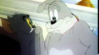 Том и Джерри! (1 серия) Том и Джерри! (1 серия)