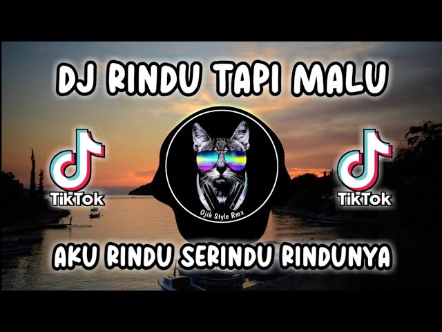 DJ RINDU TAPI MALU _ AKU RINDU SERINDU RINDUNYA _ VIRAL TIK TOK !!!! class=