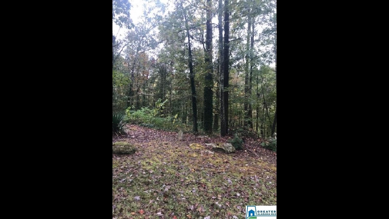 Homes for sale 0 Meadow Run Dr 0, Argo, AL 35146 YouTube