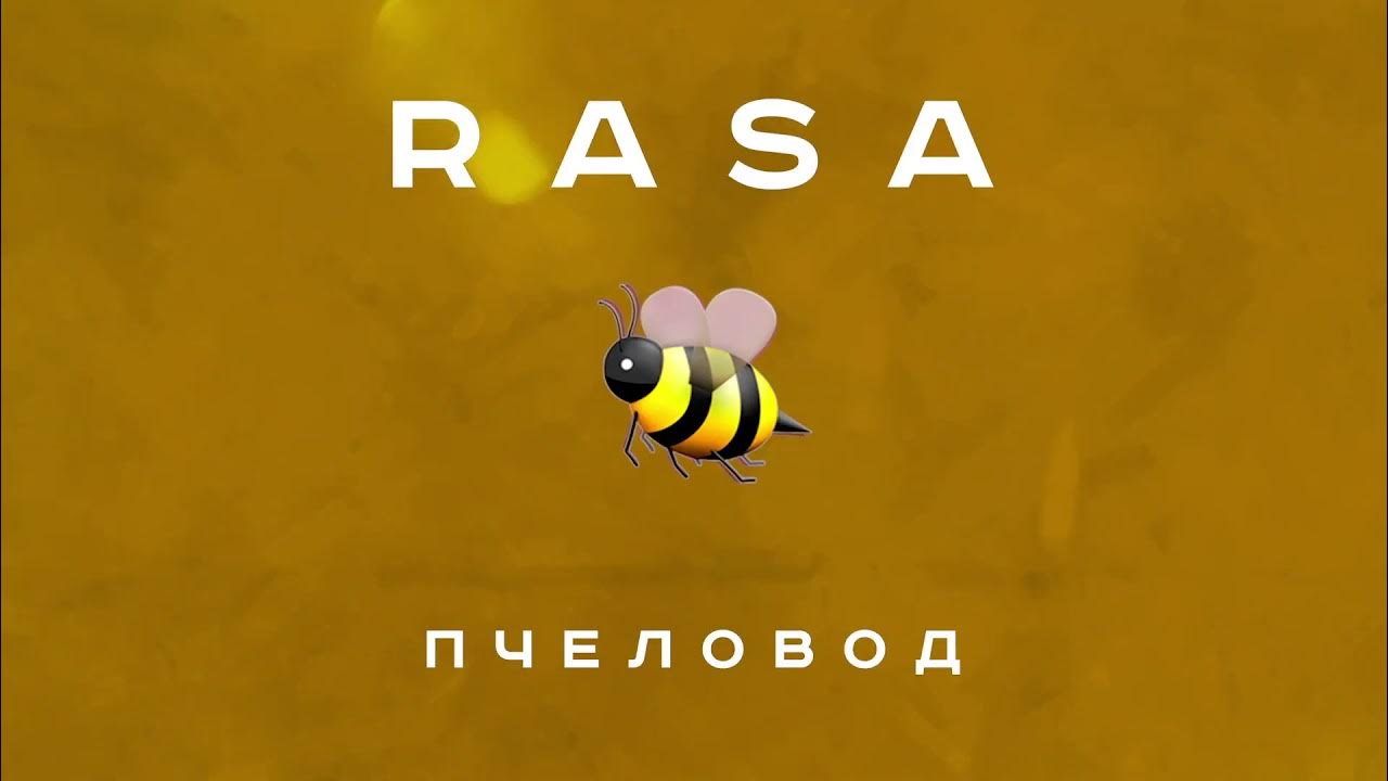 Клип песни пчеловод rasa. Rasa пчеловод. Пчеловод песня. Пчела я пчеловод. Rasa ты пчела я пчеловод.