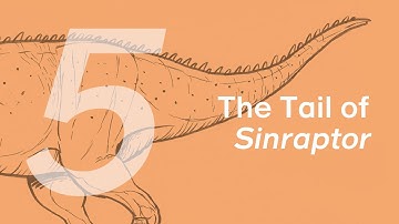 Xinchuan the Sinraptor 5: The Tail | Learn to Draw Dinosaurs with ZHAO Chuang