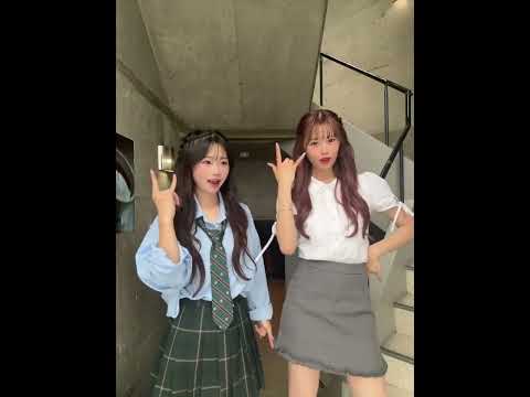 夏休み編メンバーのおねーちゅわんぽんぽんと番長 だいすきすき 今日好き 高校生 