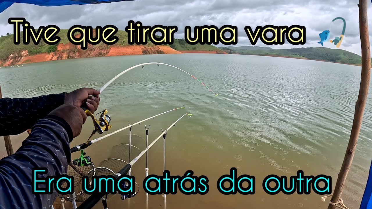 🎣 pescaria de tilápia! Foi uma fisgada atrás da outra! Tudo ao vivo!