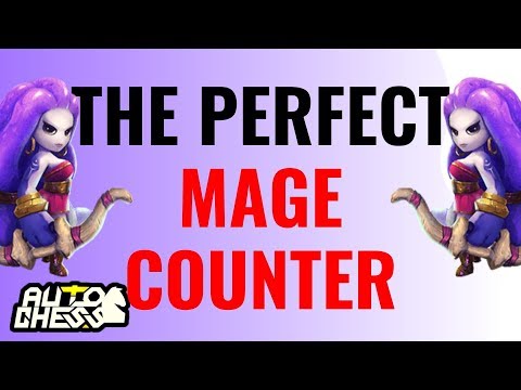 The Perfect Mage Counter 6 Hunter 2 Wizard 4 Marine 4 Egersis