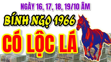 Tử Vi Tuổi Bính Ngọ 1966. Đúng Ngày 16, 17, 18, 19/10 Âm Lịch, Lộc Lá Kéo Đến, Ăn nên làm ra!
