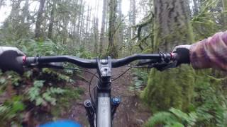 DUTHIE HILL RYAN'S ETERNAL FLOW - RAW VIDEO