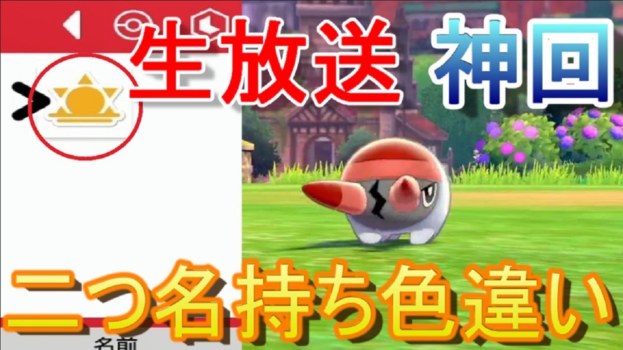 神回 二つ名持ち色違いを生放送中にゲットする漢 モンスターボール999個を1番道路で使い切るまでご飯を食べられない放送 ポケモン剣盾 これで 鈴木けんぞうさんに少しは近付けただろうか Youtube