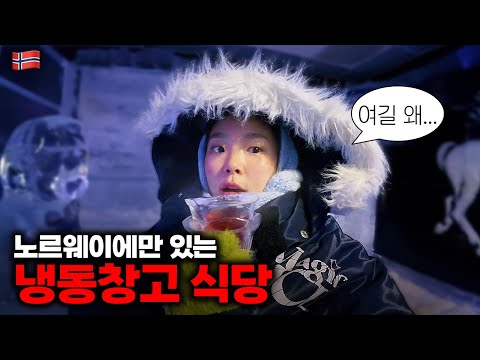 노르웨이인 원래 이래? 스키 신고 태어난 사람들이 겨울을 즐기는 법(+광인의 썰매타기) ::: 노르웨이(2)