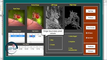 Mosquito Recognition and Gender Classification in Digital Image Processing Using MATLAB