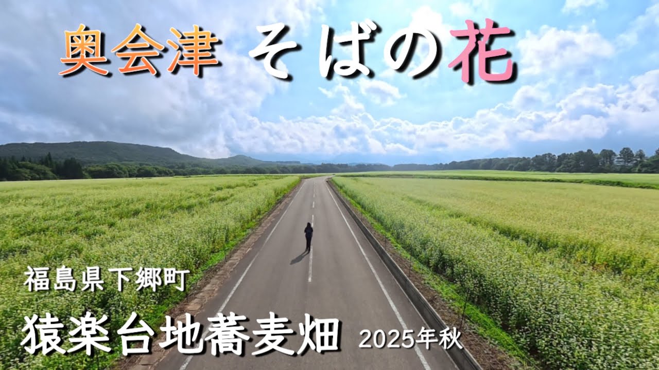 【福島県奥会津】 会津下郷町そば畑「猿楽台地」　どこまでも広がる一面の白い花畑