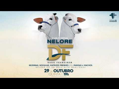 LOTE 17   NDF 793,820