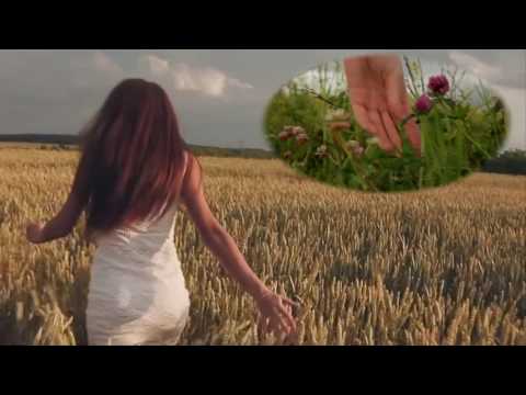 Евгений Полянский. 'Светка'
