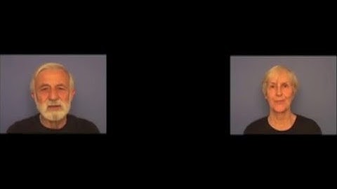 Trailer for Nina Katchadourian installation