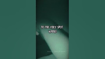Thumbnail of Teresa Fidalgo: The Video That You Should Not See #shorts