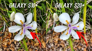 Samsung Galaxy S20+ vs S10+ Camera Comparison Test: Upgrade? screenshot 4