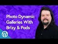 Photo Dynamic Galleries With Brizy and Pods | WORDPRESS