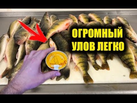 Добавьте это в прикормку и никому не рассказывайте! Паштет для рыбалки, рабочая добавка на окуня
