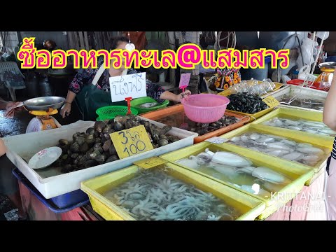 ซื้ออาหารทะเล ที่ตลาดอาหารทะเลแสมสาร