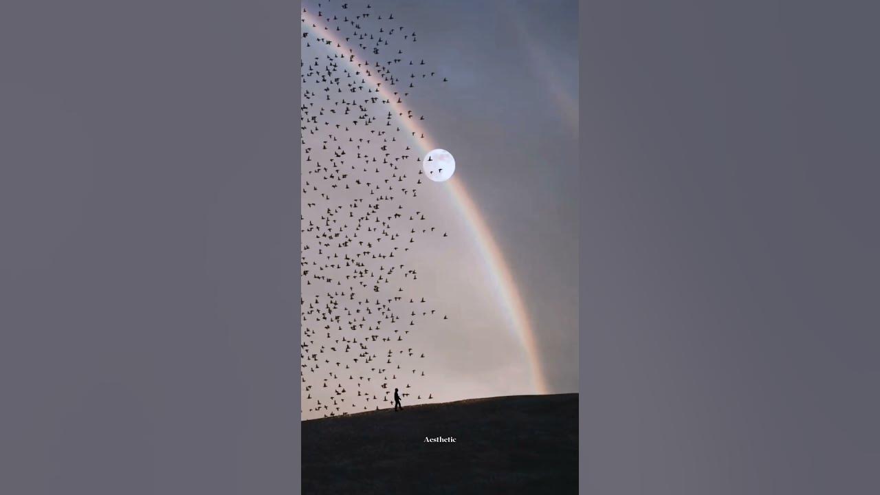 Middle of the night x Carol of the Bells ( speed up + lyrics) The power of the nature edit ✨️
