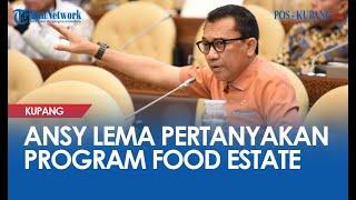 Anggota DPR Ansy Lema Pertanyakan Progres Pelaksanaan ‘Food Estate’